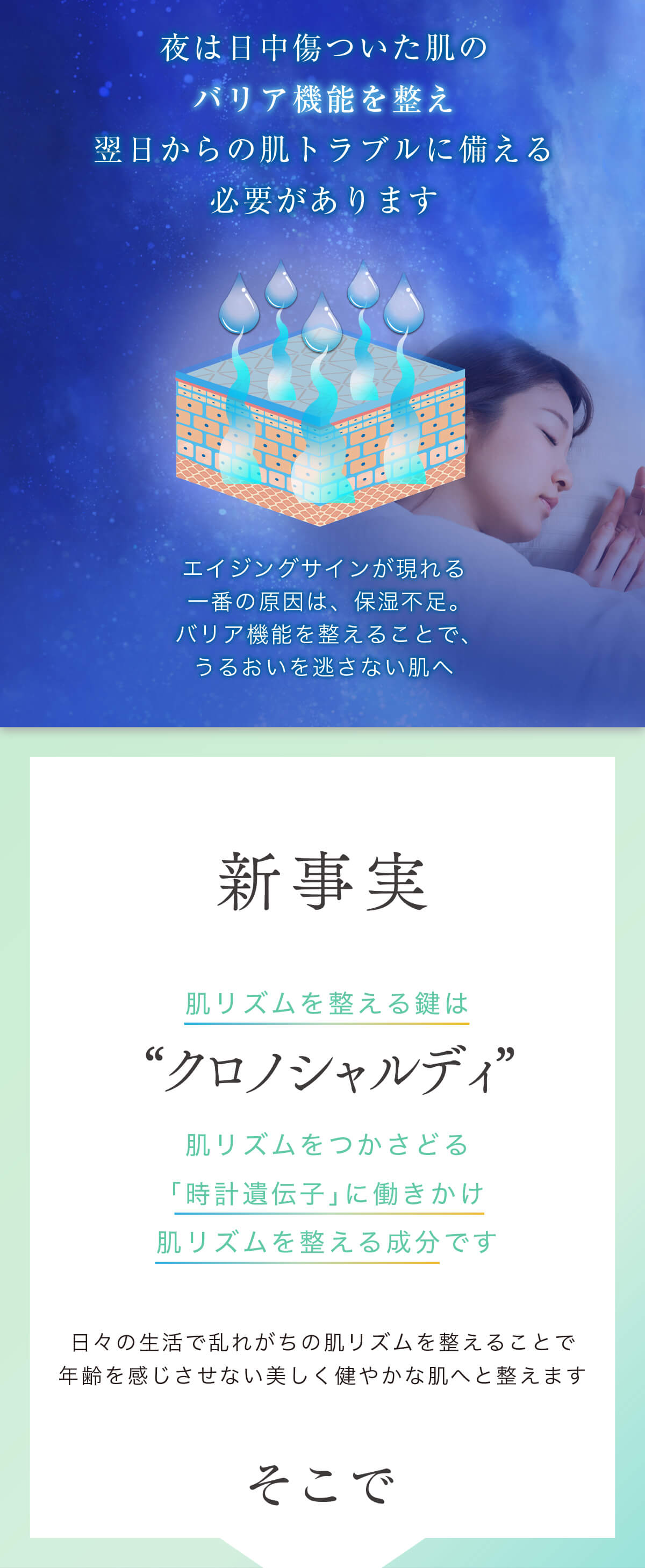 新事実肌リズムを整える鍵はクロノシャルディ